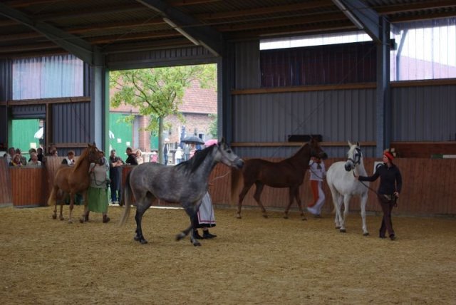 800 Jahrfeier in Ummeln