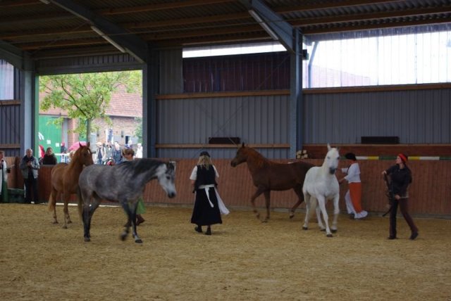 800 Jahrfeier in Ummeln