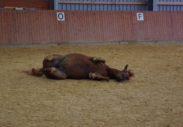 800 Jahrfeier in Ummeln