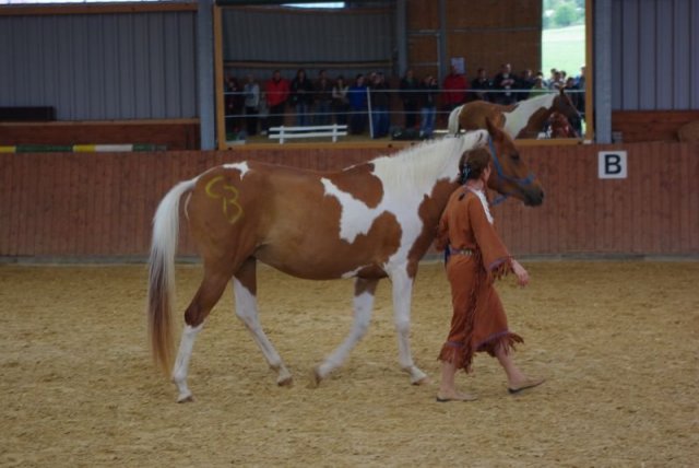 800 Jahrfeier in Ummeln