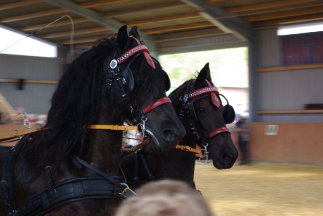 800 Jahrfeier in Ummeln