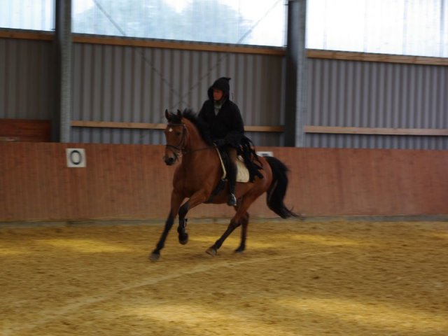 800 Jahrfeier in Ummeln