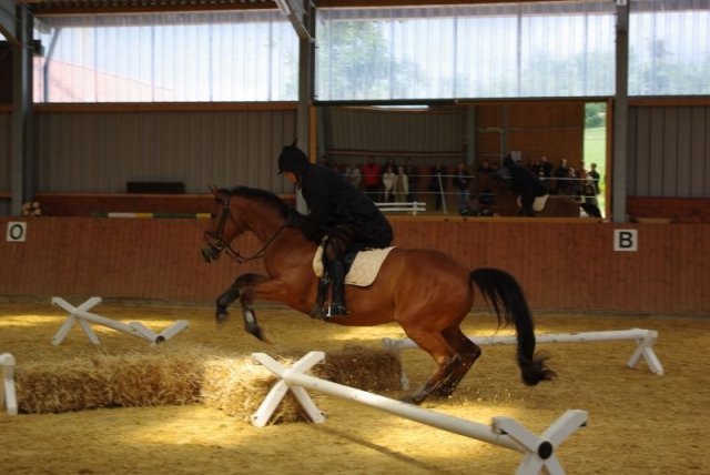 800 Jahrfeier in Ummeln