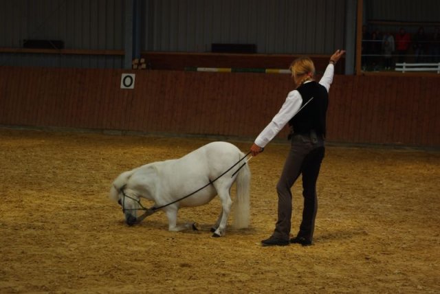 800 Jahrfeier in Ummeln