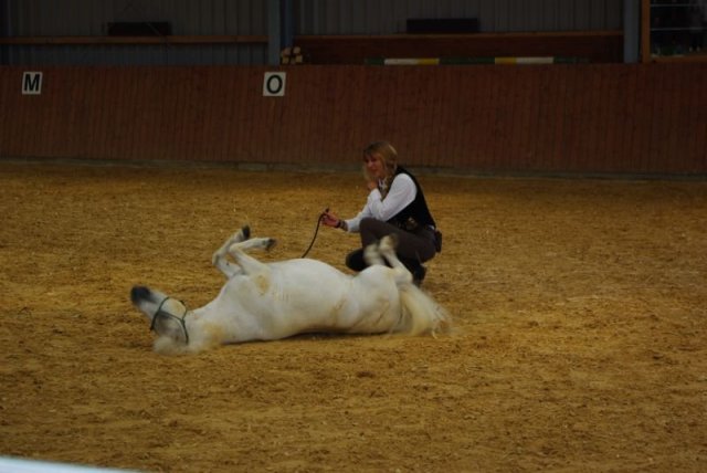 800 Jahrfeier in Ummeln