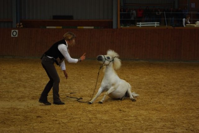 800 Jahrfeier in Ummeln