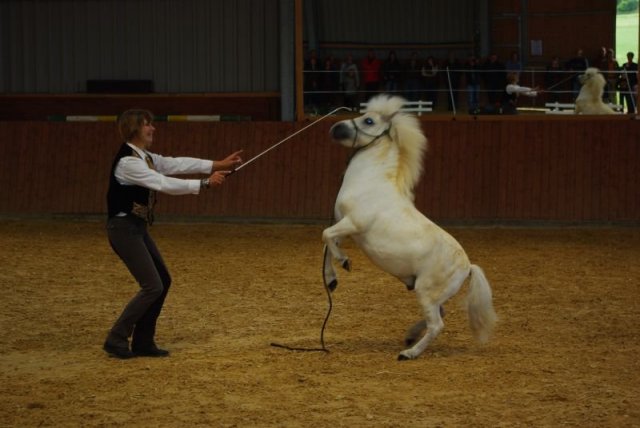 800 Jahrfeier in Ummeln