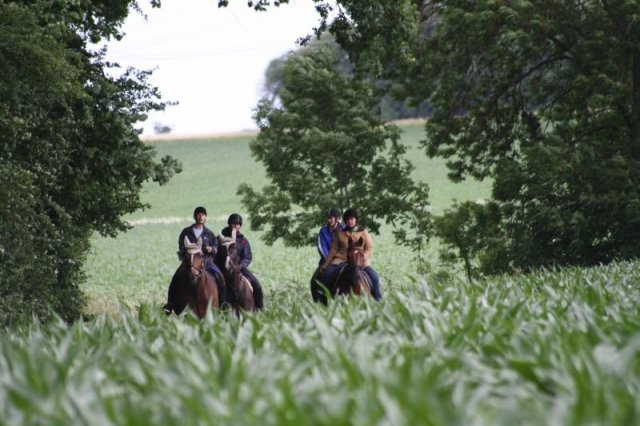 Orientierungsritt 2011