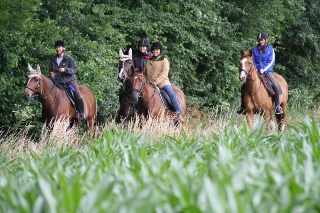 Orientierungsritt 2011