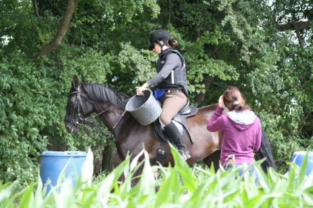 Orientierungsritt 2011