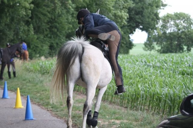 Orientierungsritt 2011