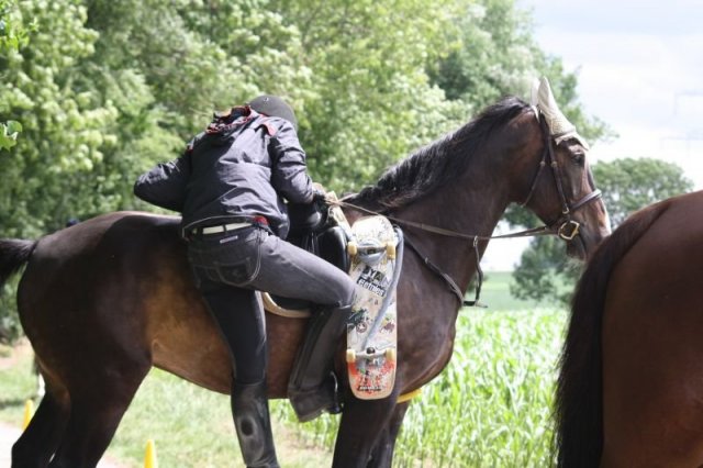 Orientierungsritt 2011