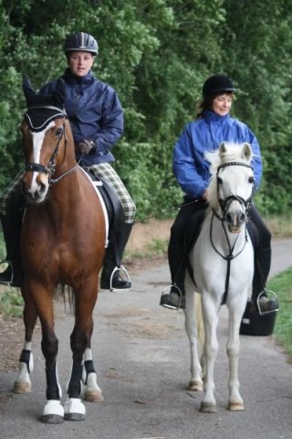 Orientierungsritt 2011