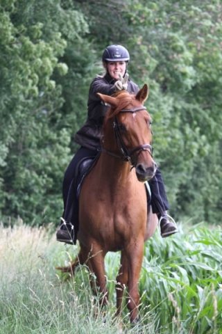 Orientierungsritt 2011